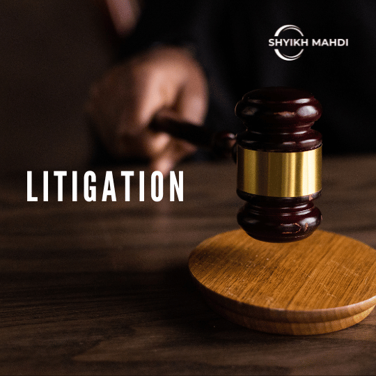 Litigation Services